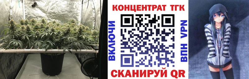 что такое наркотик  ссылка на мегу вход  Дистиллят ТГК THC oil  Рудня 